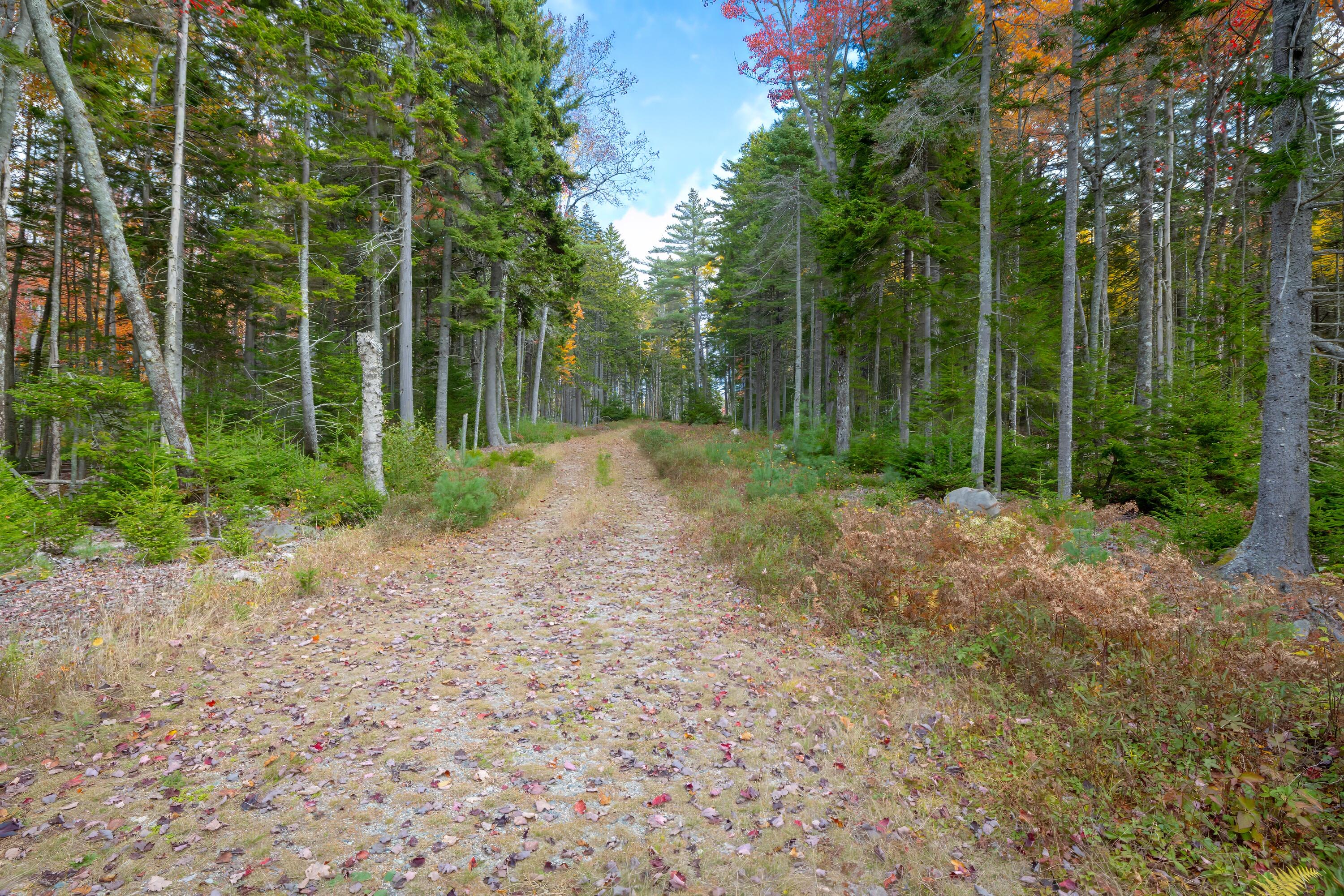 272 Estates Road Steuben ME 04680