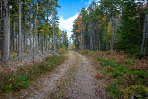 272 Estates Road Steuben ME 04680