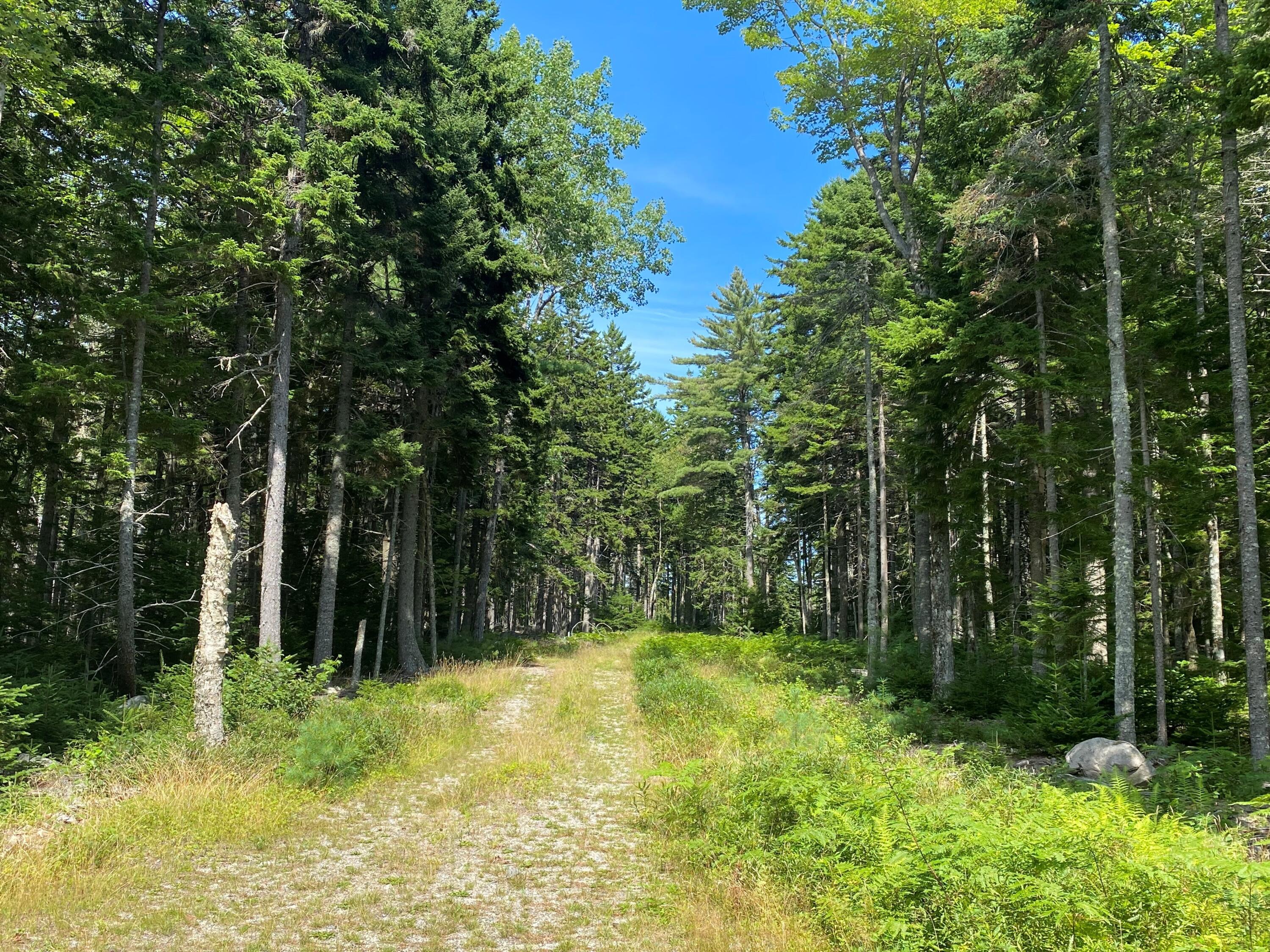 272 Estates Road Steuben ME 04680