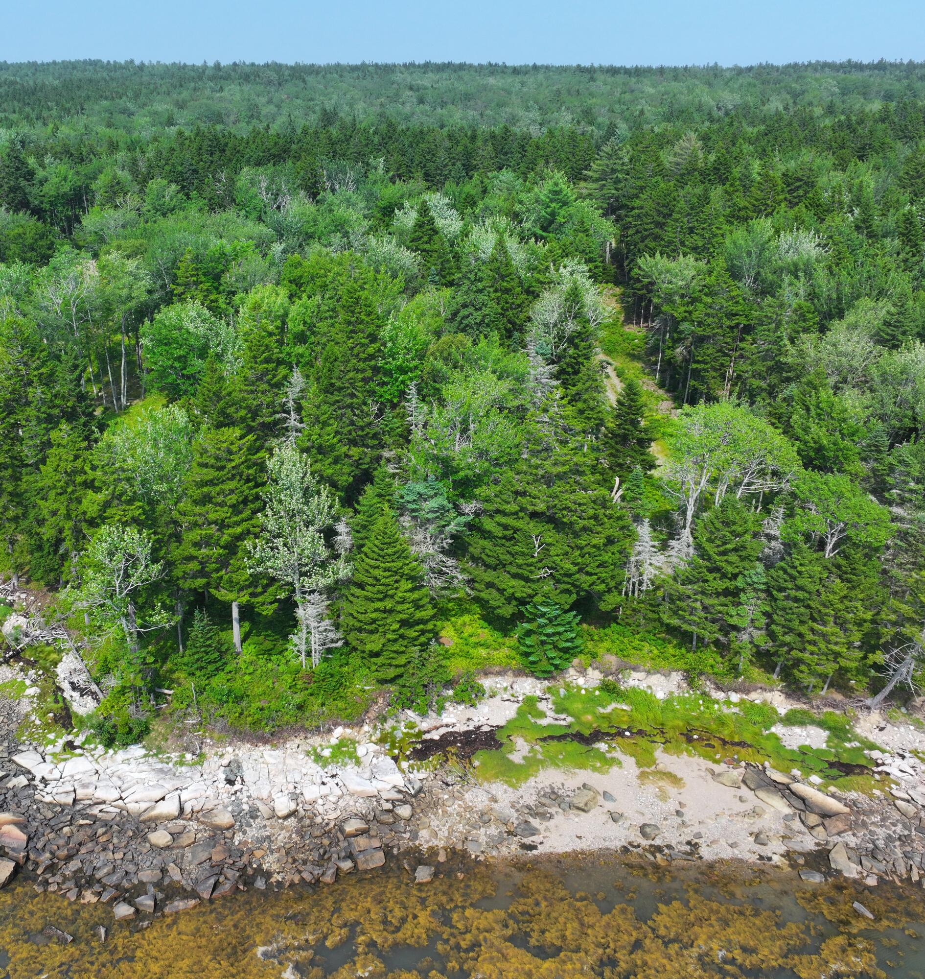 272 Estates Road Steuben ME 04680