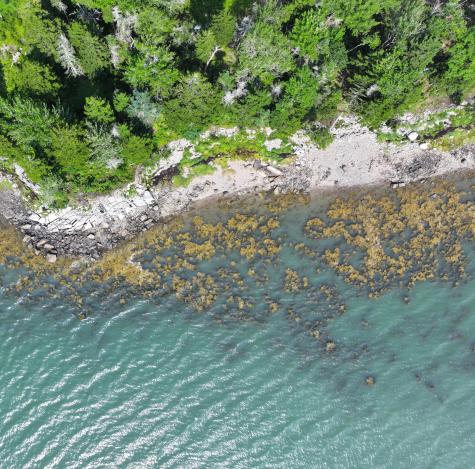 272 Estates Road Steuben ME 04680