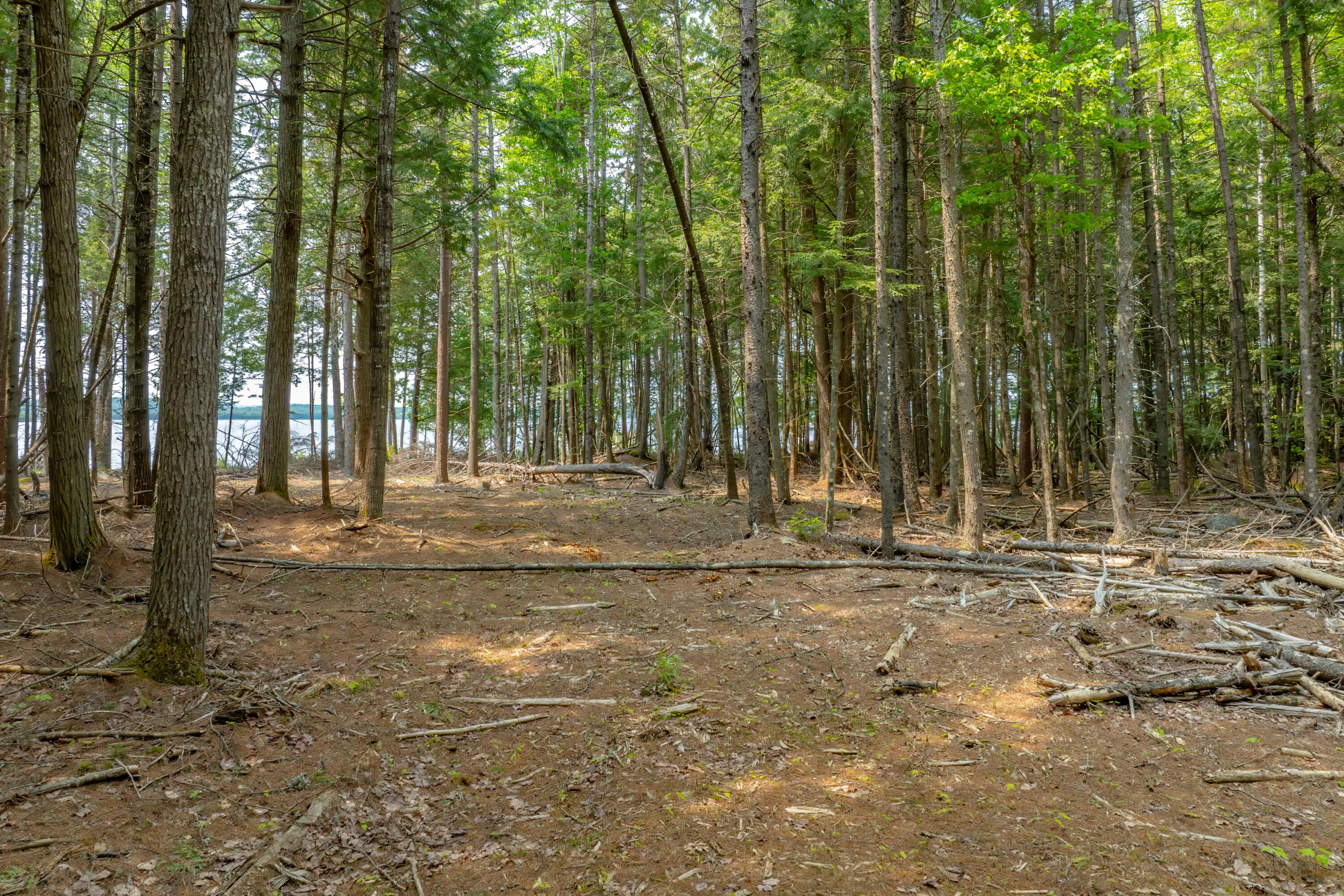 80 Bufford Drive Waltham ME 04605
