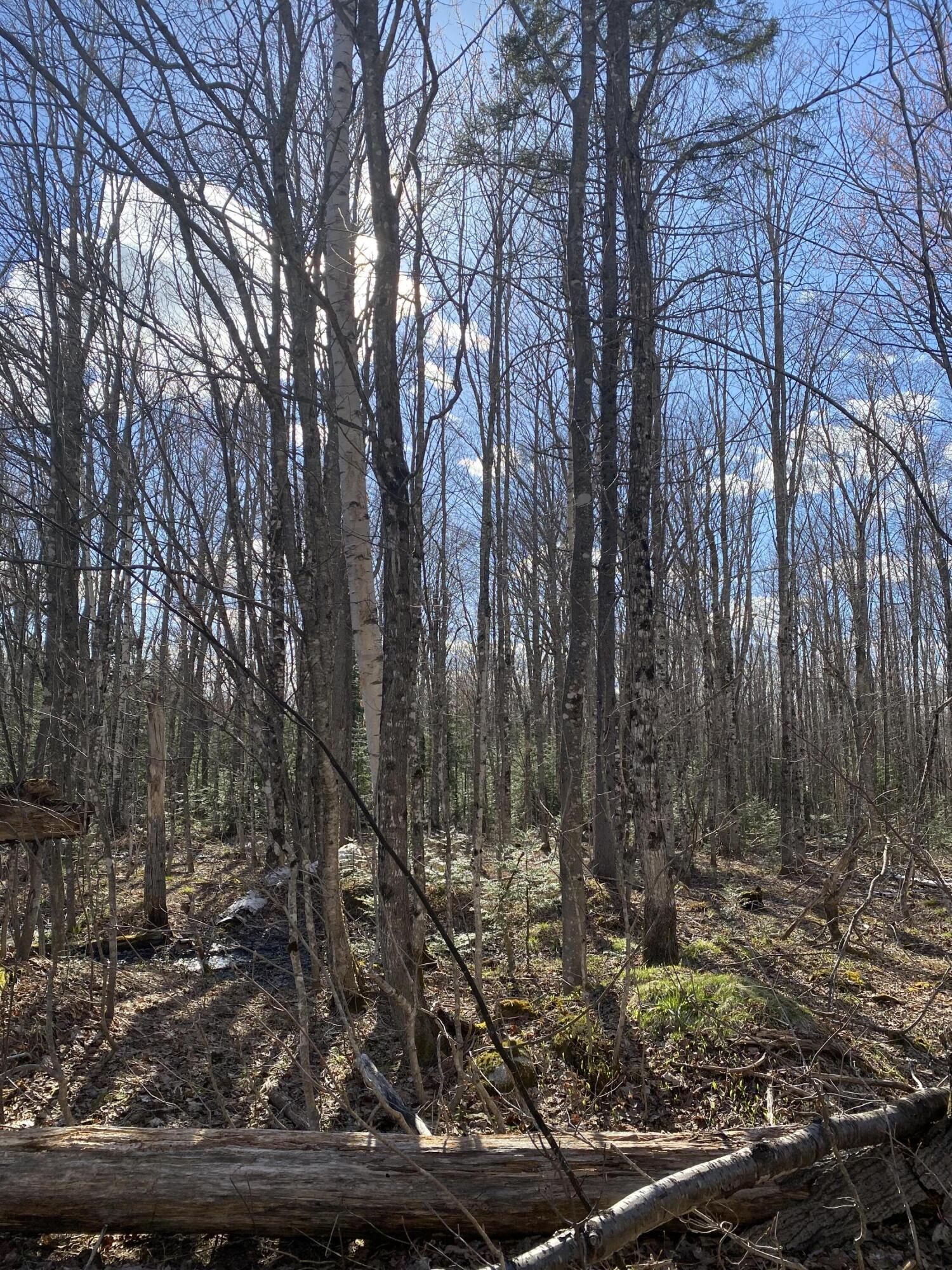 M3 L27 Richard Rd./noyes Timberland Road Rangeley Plt ME 04970