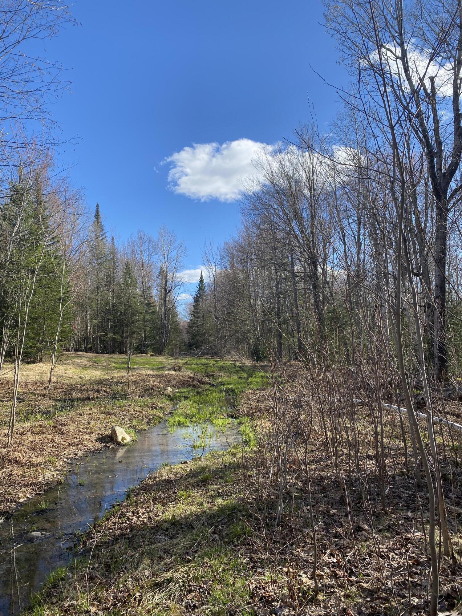 M3 L27 Richard Rd./noyes Timberland Road Rangeley Plt ME 04970