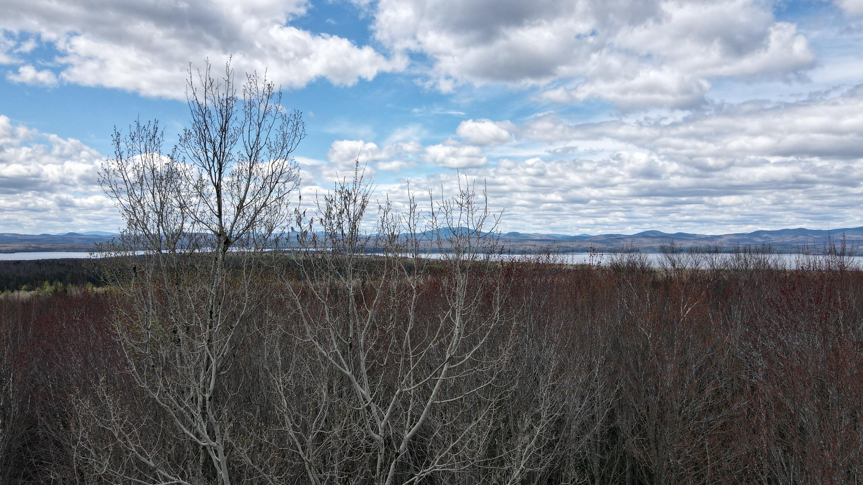 M3 L27 Richard Rd./noyes Timberland Road Rangeley Plt ME 04970