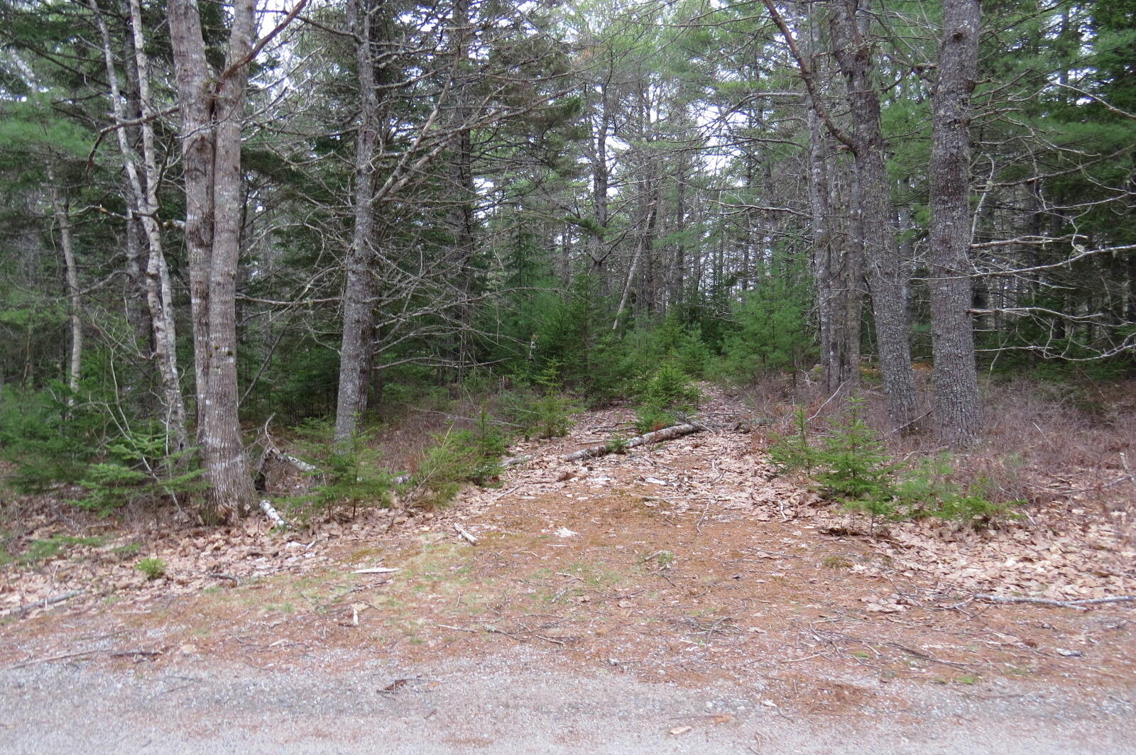 23 Porcupine Road Sullivan ME 04664