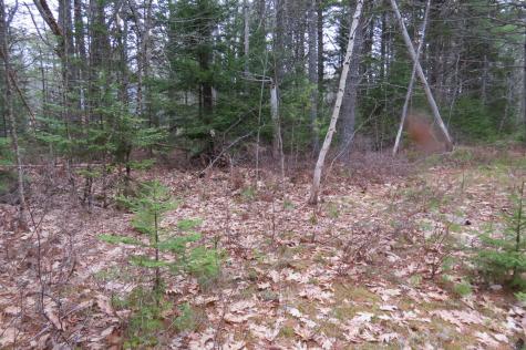 23 Porcupine Road Sullivan ME 04664