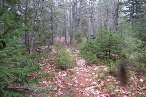 23 Porcupine Road Sullivan ME 04664