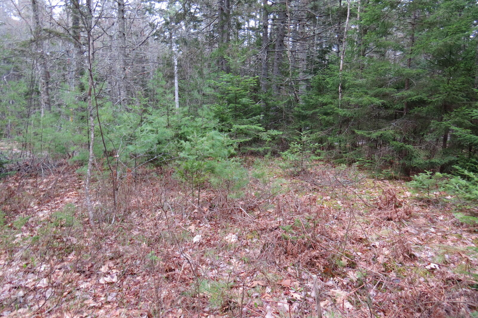 23 Porcupine Road Sullivan ME 04664