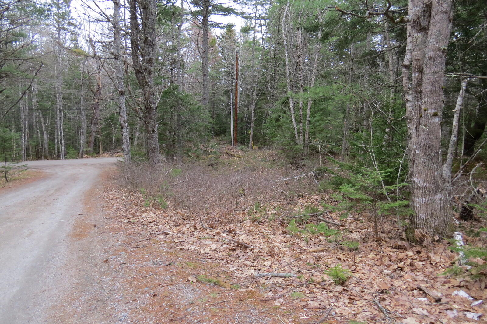 23 Porcupine Road Sullivan ME 04664