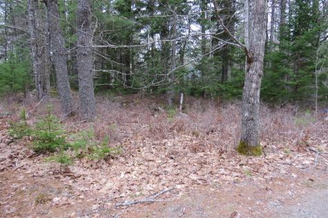 23 Porcupine Road Sullivan ME 04664