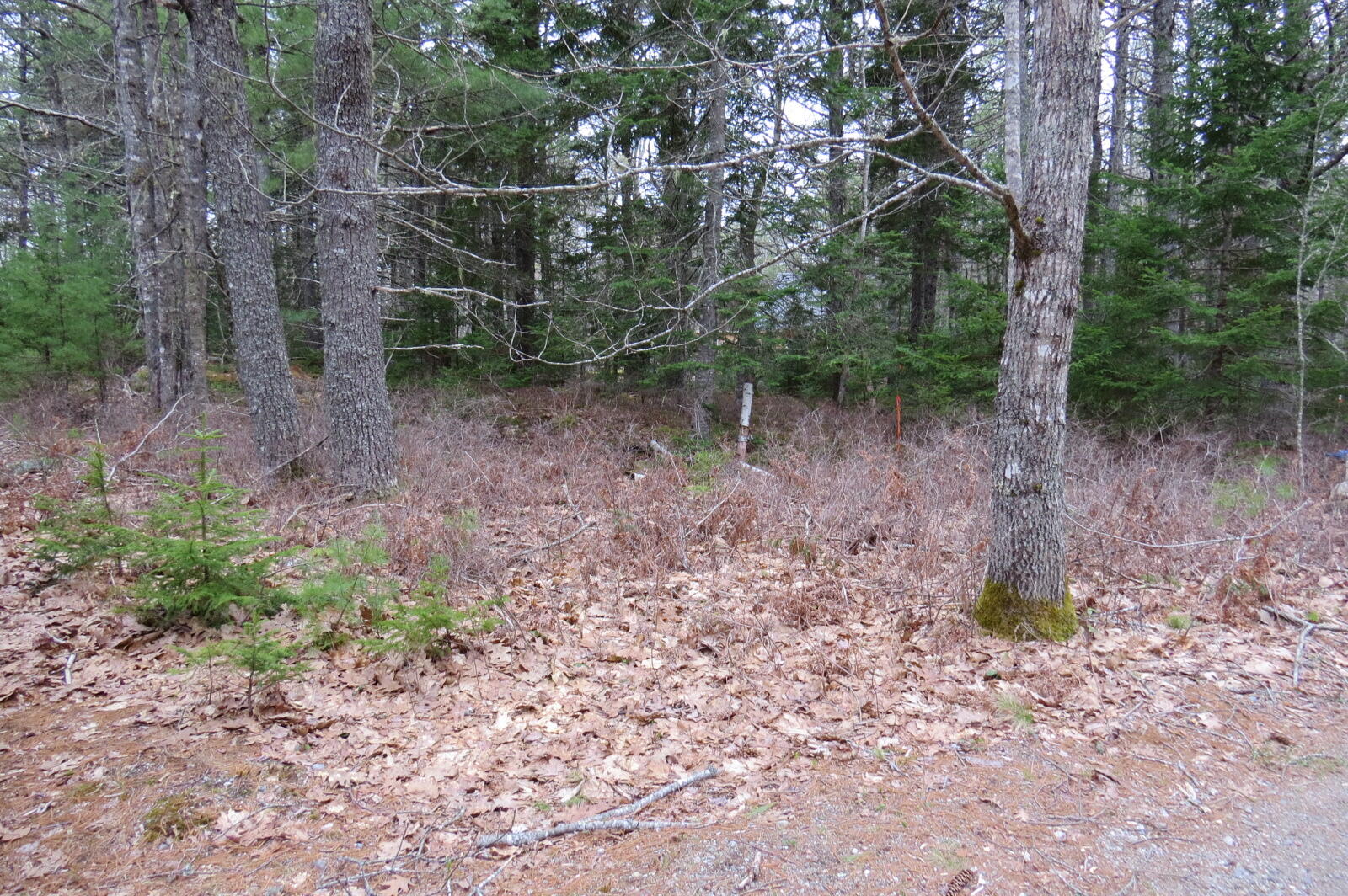23 Porcupine Road Sullivan ME 04664