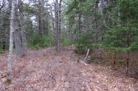 23 Porcupine Road Sullivan ME 04664