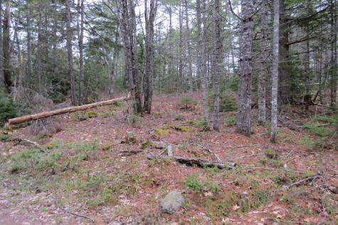23 Porcupine Road Sullivan ME 04664