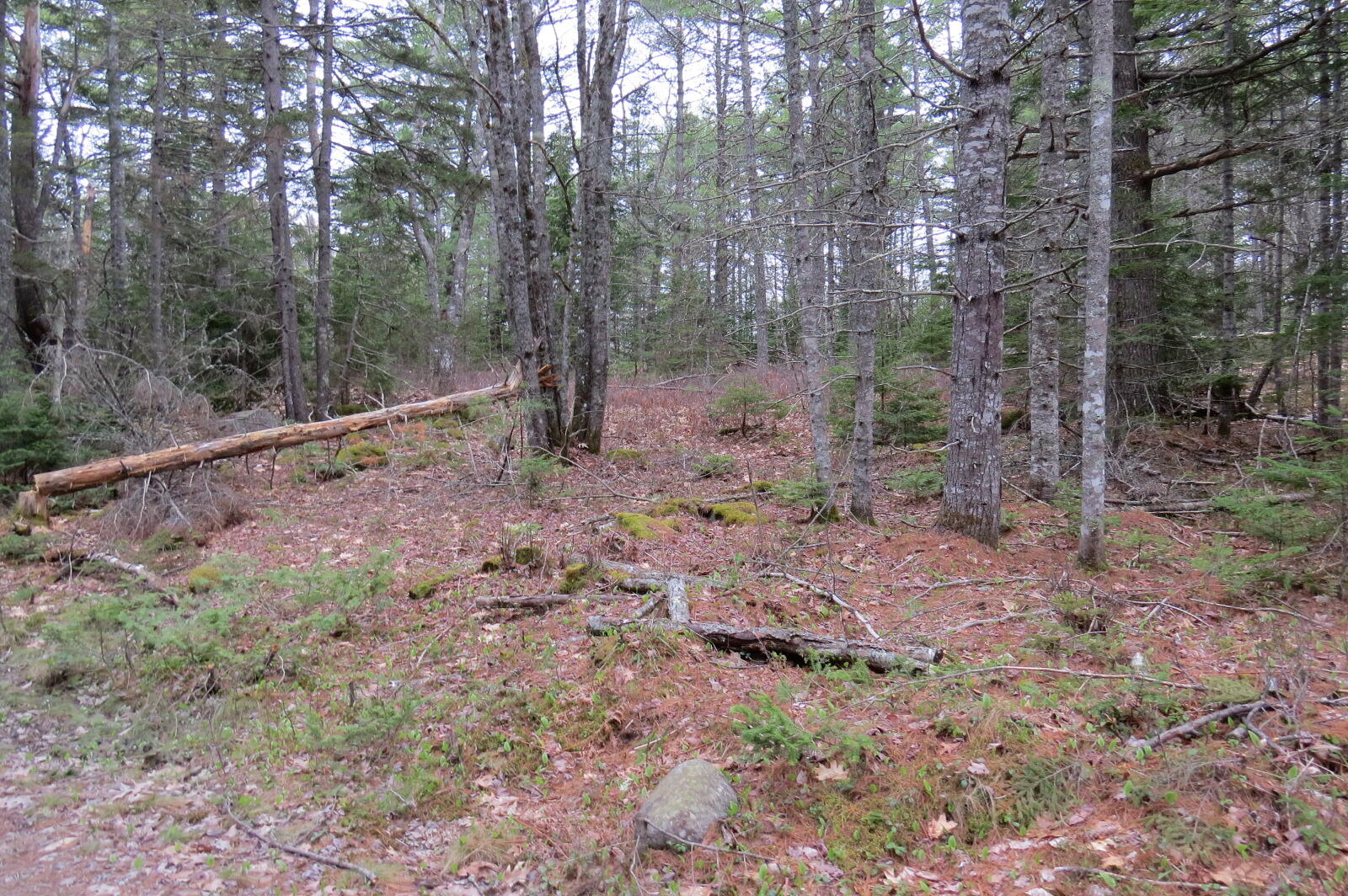 23 Porcupine Road Sullivan ME 04664