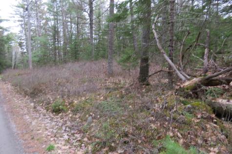 23 Porcupine Road Sullivan ME 04664