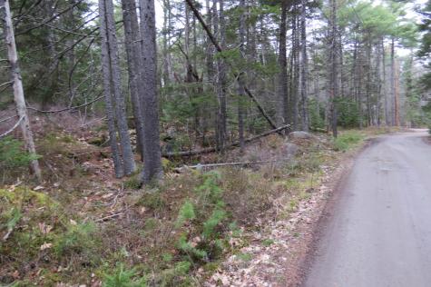 23 Porcupine Road Sullivan ME 04664
