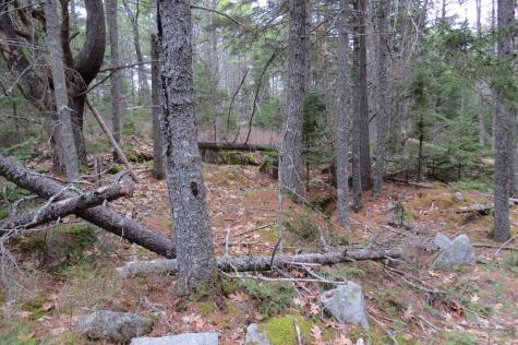 23 Porcupine Road Sullivan ME 04664