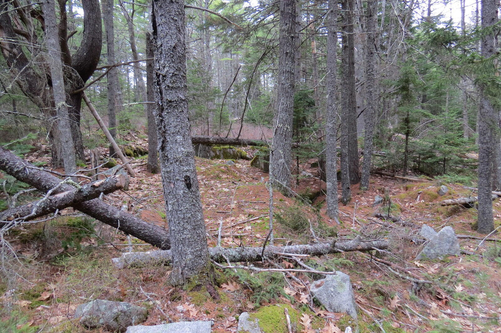 23 Porcupine Road Sullivan ME 04664