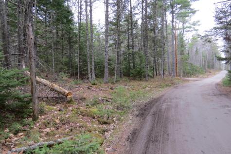 23 Porcupine Road Sullivan ME 04664