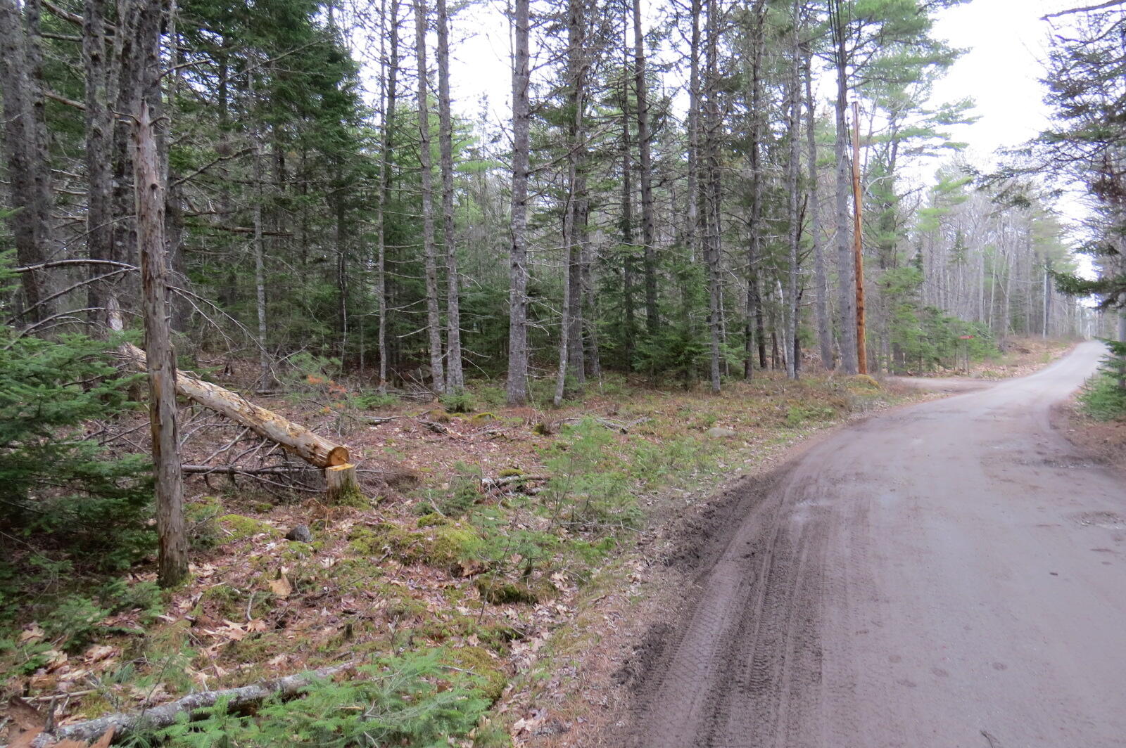 23 Porcupine Road Sullivan ME 04664