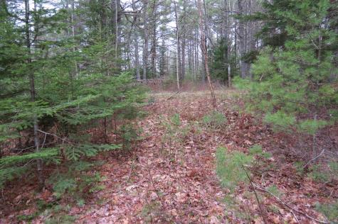 23 Porcupine Road Sullivan ME 04664