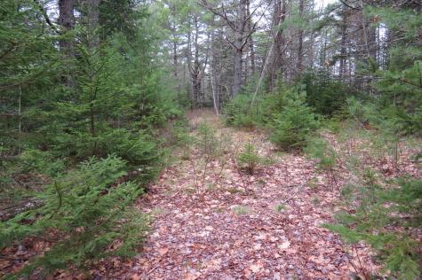 23 Porcupine Road Sullivan ME 04664