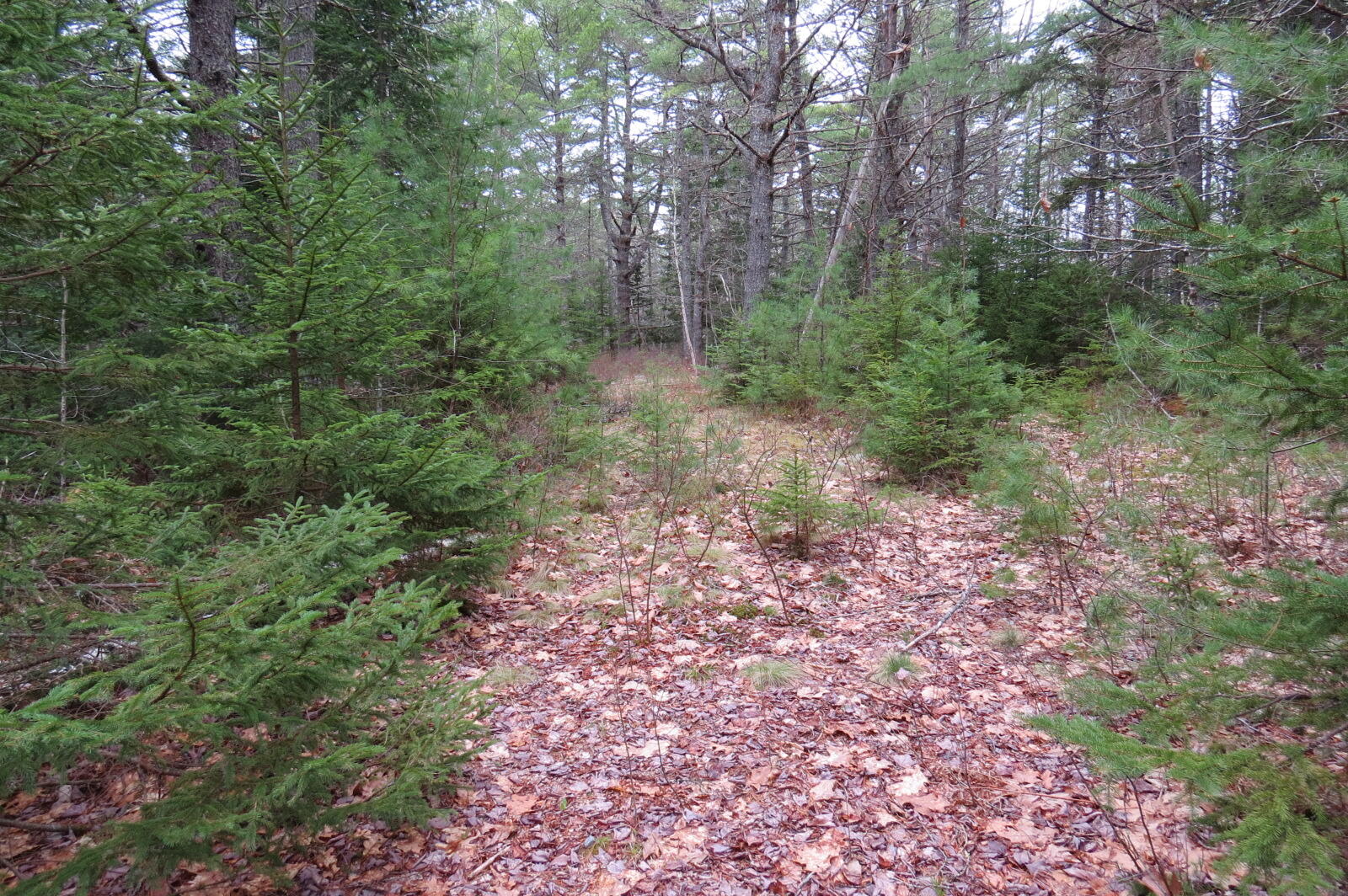 23 Porcupine Road Sullivan ME 04664