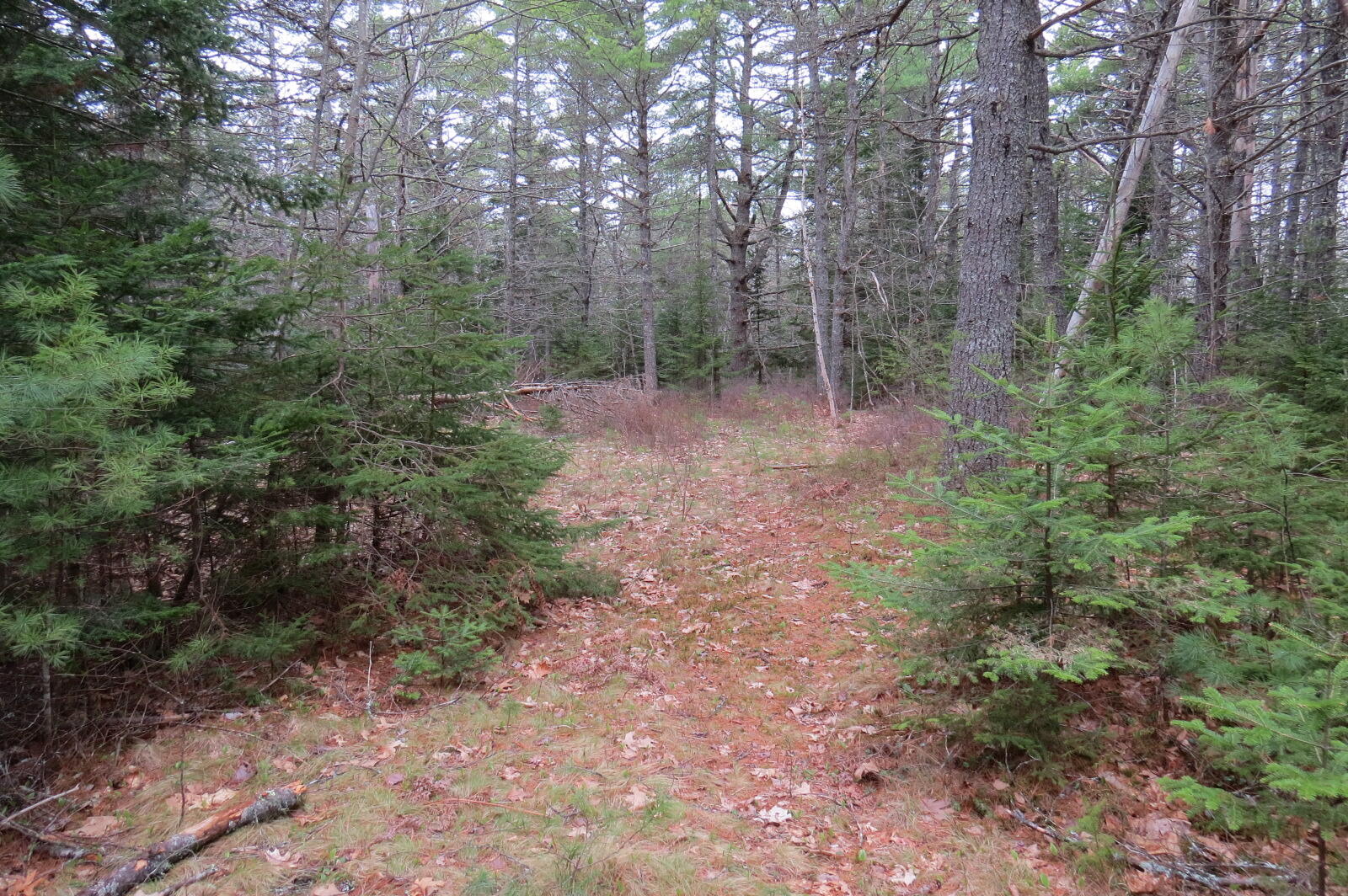 23 Porcupine Road Sullivan ME 04664