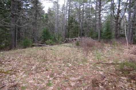 23 Porcupine Road Sullivan ME 04664