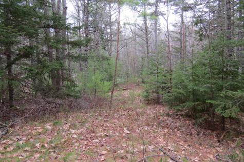 23 Porcupine Road Sullivan ME 04664