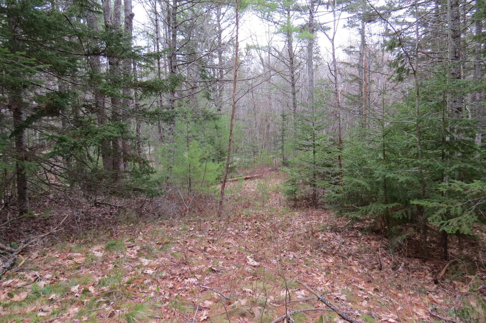 23 Porcupine Road Sullivan ME 04664
