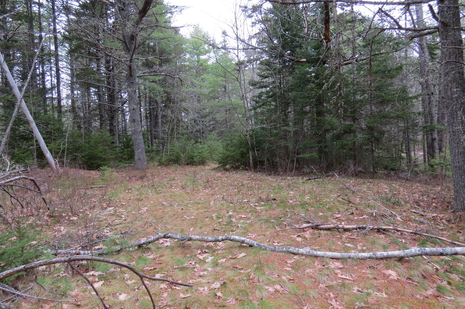 23 Porcupine Road Sullivan ME 04664