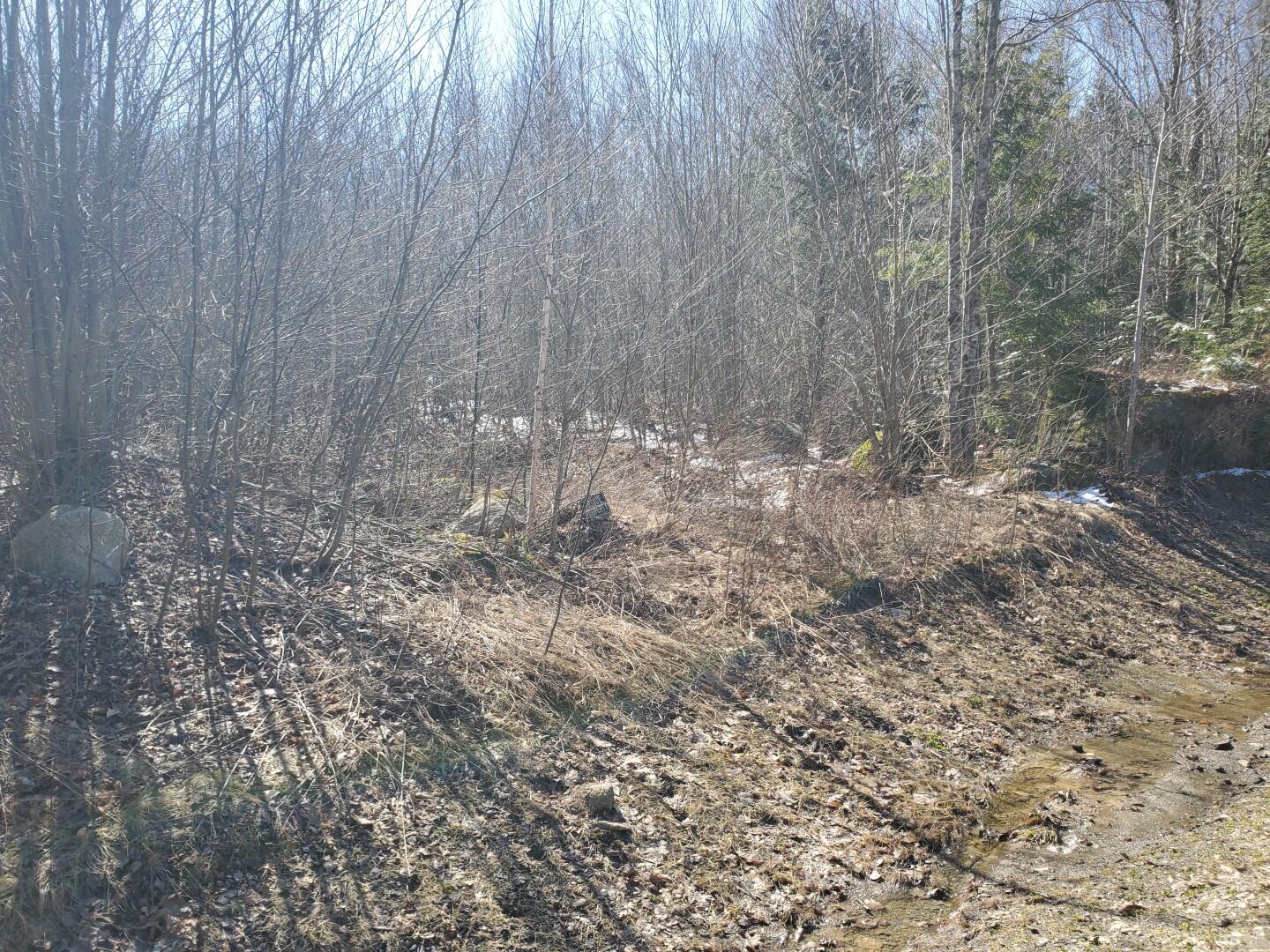Lot# 47 Indian Hill Lane Frankfort ME 04438