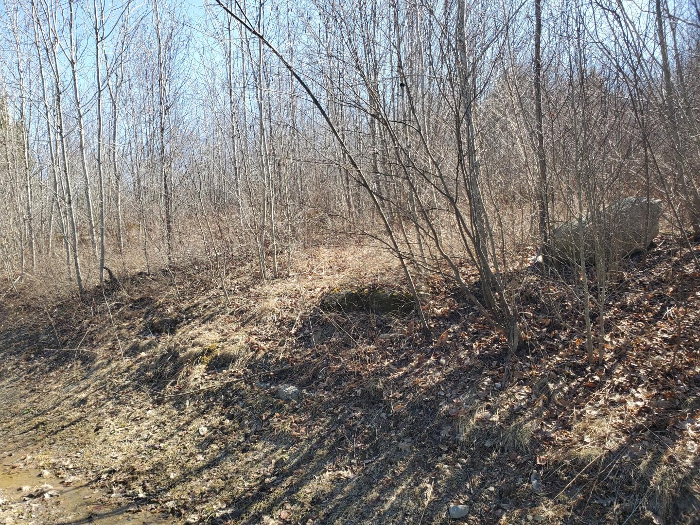 Lot# 47 Indian Hill Lane Frankfort ME 04438