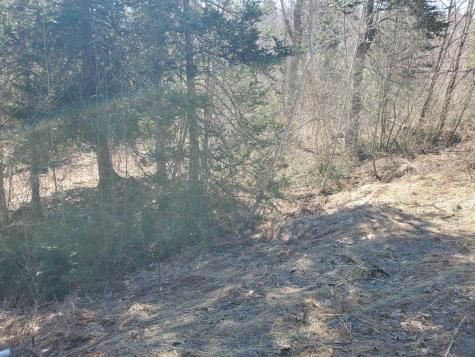Lot# 47 Indian Hill Lane Frankfort ME 04438