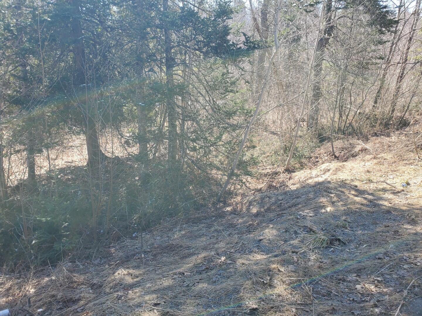 Lot# 47 Indian Hill Lane Frankfort ME 04438