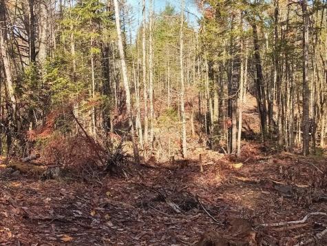 130&280 Wing Road N. Palermo ME 04354