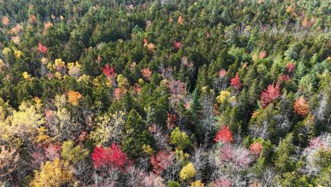 020-078 Blue Hill Blue Hill ME 04614