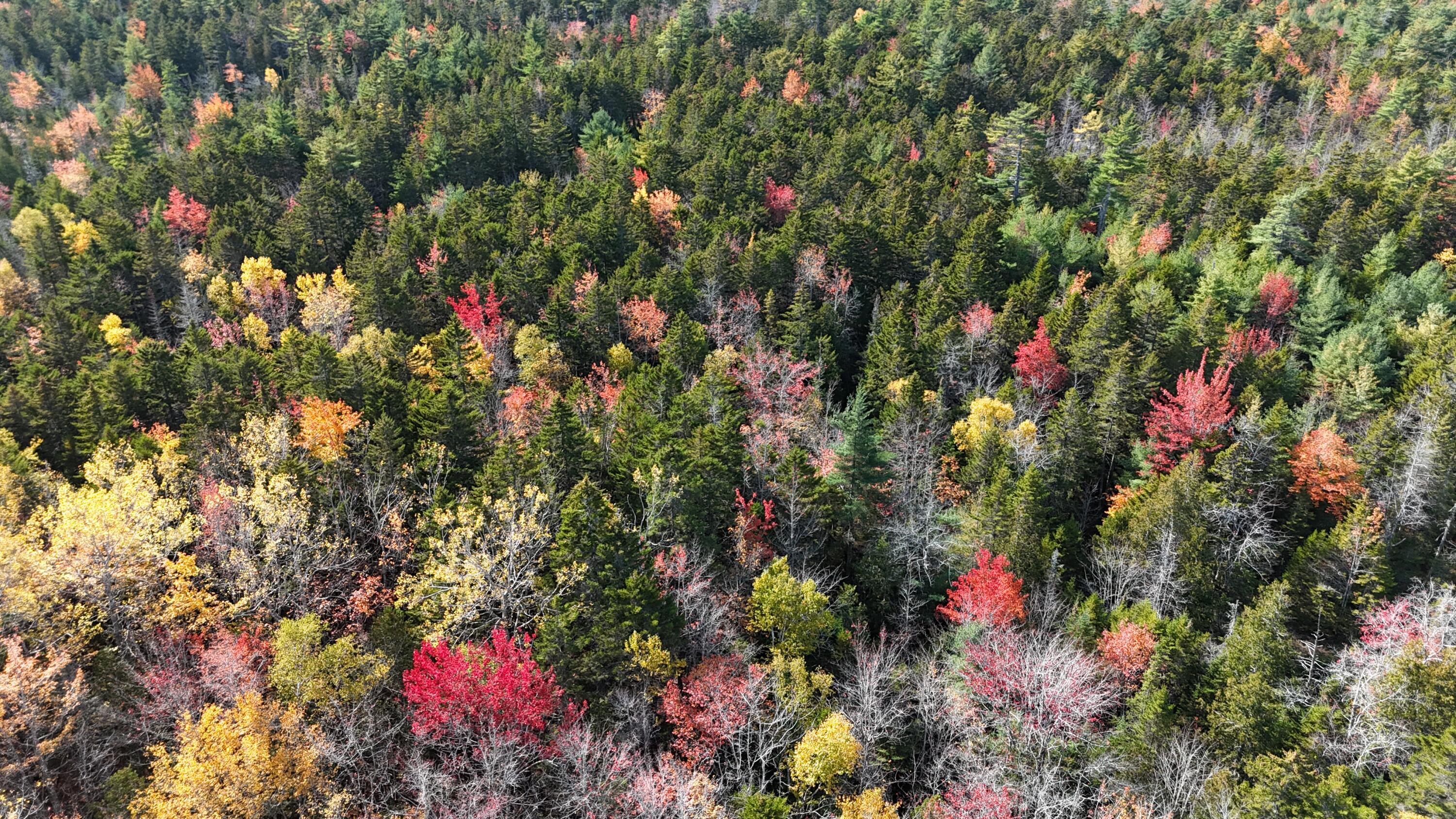 020-078 Blue Hill Blue Hill ME 04614