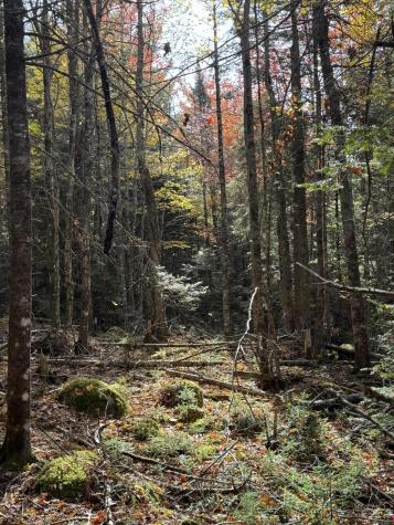 020-078 Blue Hill Blue Hill ME 04614