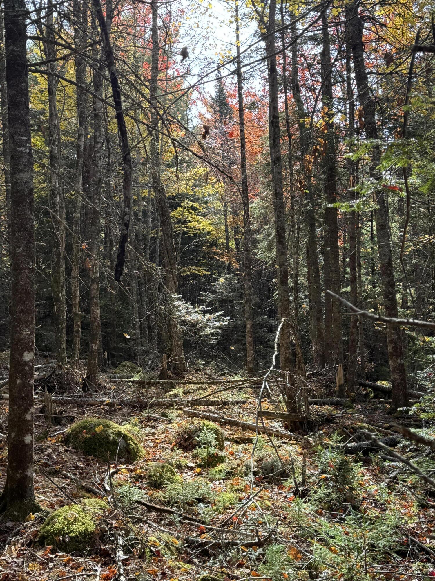 020-078 Blue Hill Blue Hill ME 04614