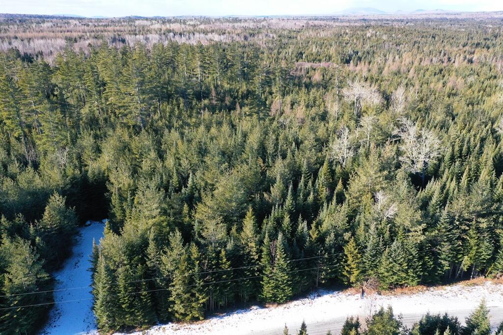 Lot 24 Lynx Lane Tomhegan Twp ME 04478