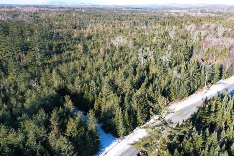 Lot 24 Lynx Lane Tomhegan Twp ME 04478