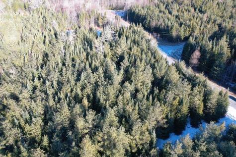 Lot 24 Lynx Lane Tomhegan Twp ME 04478