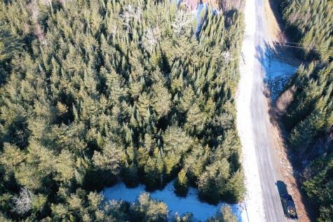 Lot 24 Lynx Lane Tomhegan Twp ME 04478
