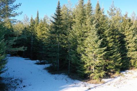 Lot 24 Lynx Lane Tomhegan Twp ME 04478