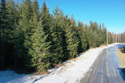 Lot 24 Lynx Lane Tomhegan Twp ME 04478