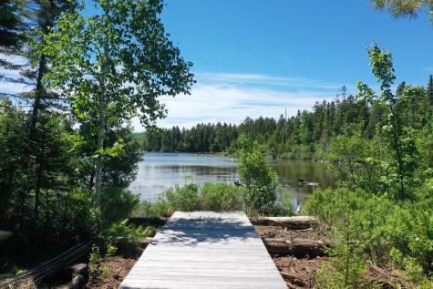 Lot 24 Lynx Lane Tomhegan Twp ME 04478