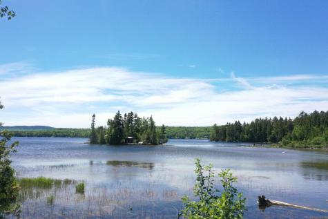 Lot 24 Lynx Lane Tomhegan Twp ME 04478